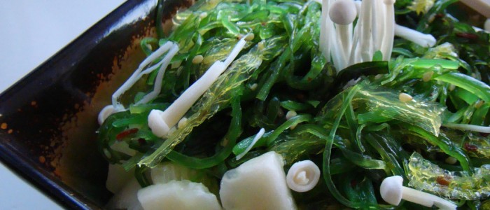 Seaweed Obesity Fix? - Image Credit: Janet Hudson