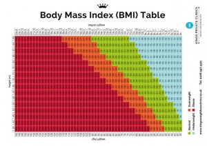 bmi index chart